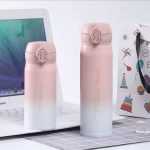 Vitality Stainless Steel Vacuum Flask – Gradient Hot & Cold Water Bottle